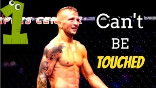 TJ dillashaw  Cant Be Touched Highlights 2019 [upl. by Philipps353]