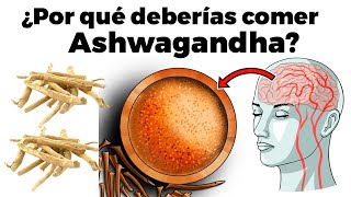 11 razones para comer Ashwagandha cada semana y quien no debe hacerlo [upl. by Chaddie]