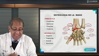 ANATOMÍA DE MIEMBRO SUPERIOR  MANO  Usamedic [upl. by Arihsak]