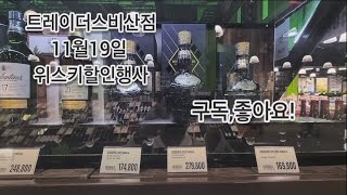 대구트레이더스비산점 11윌19일 위스키할인 whisky 위스키행사 맥캘란 위스키추천 달모어 발베니 조니워커 블루라벨 글렌모렌지 글렌그란 글렌 [upl. by Etterual753]