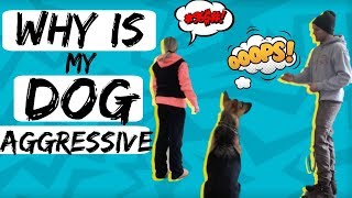 How to Stop Fear based AggressionFearful Dog Training with a German Shepherd Dog [upl. by Allenaj117]