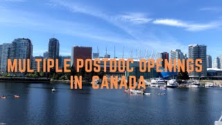 Multiple Postdoc Openings in Canada [upl. by Michey]