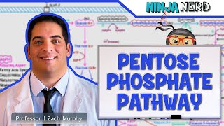 Metabolism  Pentose Phosphate Pathway [upl. by Adara]