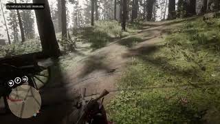 Red Dead Redemption 2 Online  Salto cón el carro de caza [upl. by Ididn]