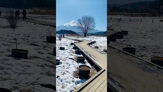 Japan ❤️ fuji mtfuji japan shorts kawaguchiko lakekawaguchiko winter winterinjapan travel [upl. by Opportuna]