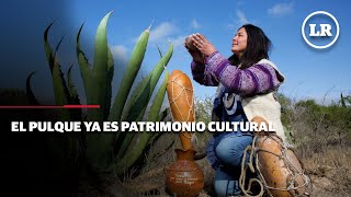 El pulque ya es patrimonio cultural [upl. by Neibaf616]