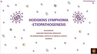 Hodgkins lymphoma  Etiopathogenesis [upl. by Waldemar749]