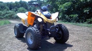 Can Am DS 250 Overview [upl. by Tracy]