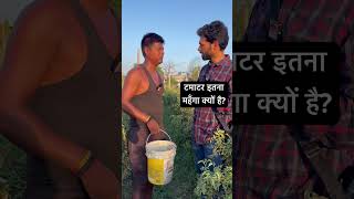 टमाटर इतना महँगा क्यों है जानिए tomato tomatopricetoday tomatorate shorts newspotli short [upl. by Sayed]