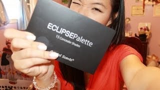 Coastal Scents Eclipse Palette 15 Concealer Shades REVIEW [upl. by Anaiuq710]