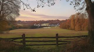 a playlist for a quiet morning 🍂🐈💨 autumn version [upl. by Ewell]