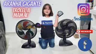 ARANHA GIGANTEquase matei a mamãe de medo VLOG INFANTIL PIETRO NATEL OFICIAL [upl. by Fairweather549]