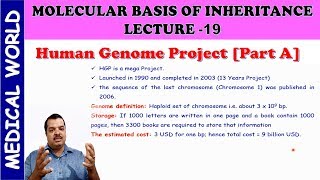 Human Genome Project PART A  MOLECULAR BASIS OF INHERITANCE  LECTURE 19 [upl. by Guillemette76]