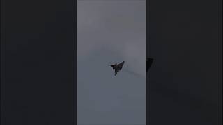 Rafale Fighter Jet Infiltrates Russia  Military Simulation ArmA 3 [upl. by Randi127]