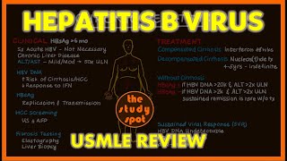 Hepatitis B Virus for the USMLE [upl. by Erlewine545]