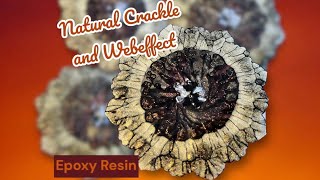 450 EN Natural Crackle and Webeffect  epoxyresin [upl. by Inkster]