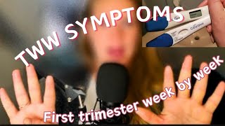 Two Week Wait Symptoms before BFP amp Week by week symptoms of the first trimester  FIRST TIME MOM [upl. by Asilav886]