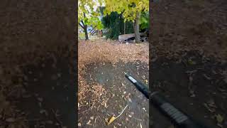 the Echo PB580T putting in some work fall leaves autumn leafblower echo landscaping [upl. by Aveline]