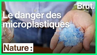 Les scientifiques alertent sur lomniprésence des microplastiques [upl. by Leland]