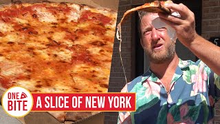 Barstool Pizza Review  A Slice of New York Murrysville PA [upl. by Azpurua]