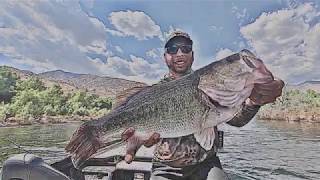 Big Bass snaps my rod in half  Lake Isabella CA bassfishing hugebass bass bassfishing [upl. by Alleahcim]