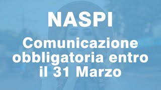 Naspi comunicazione Obbligatoria entro il 31 Marzo [upl. by Laszlo]