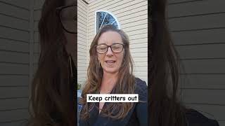 Keep mice out  Check utility lines DIY mice pests homeowners utilities insulate [upl. by Luhey]