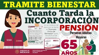 🚨 PENSIÓN BIENESTAR ¿Cuánto Tiempo Tarda El TRAMITE de INCOPORRACIÓN al PROGRAMA [upl. by Beffrey]