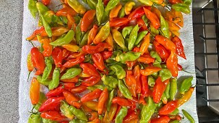 How To Properly Freeze Pimento Peppers  CaribbeanPotcom [upl. by Ainitsirc]