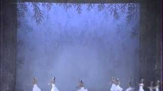 Nutcracker snowflackes dance [upl. by Erreid]