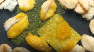 slime mold sclerotium reviving [upl. by Darcia]