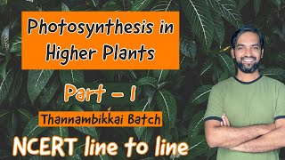 Photosynthesis in higher plants  Part 1  Thannambikkai Batch  NCERT Line to Line [upl. by Turley]