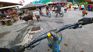 Lindarets  Goat Village  French Alps [upl. by Cherlyn]