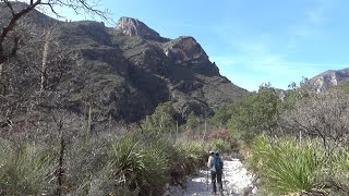 McKittrick Canyon 2024 Guadalupe Mtns Natl Park [upl. by Socha]