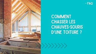 FAQ  Comment chasser les chauvessouris dune toiture [upl. by Aeduj738]