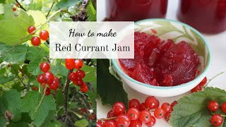 How to make Red Currant Jam  Easy Recipe [upl. by Kneeland]