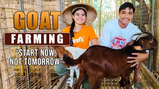 AMAZING GOAT FARMING  START NOW NOT TOMORROW BEST ADVISE FROM INSPIRING AND YOUNG GOAT FARMERS [upl. by Zanahs]