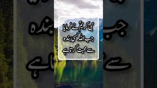 Hadees Sharif 💖  Jab Allah Kisi Banda Se Mohabbat Karta Hai  Allah Ka Pyar shorts hadees allah [upl. by Annayek742]