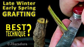 BEST GRAFTING TECHNIQUE in early SPRING  Grafting Fruit Trees [upl. by Lyred]