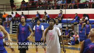 DMya Tucker 2020  Will Averys Review [upl. by Ress]