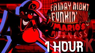 Paranoia  Friday Night Funkin FULL SONG 1 HOUR [upl. by Slein]