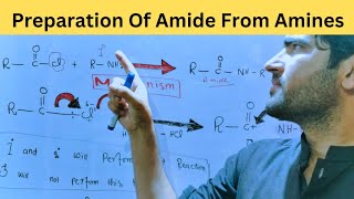 Preparation Of Amide From Aminesreaction mechanism for class 12 [upl. by Vickie]