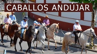 Caballos en Andújar Jaén [upl. by Almat203]