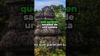 ¡Descubre el Río de los 5 Colores en Colombia [upl. by Edbert]