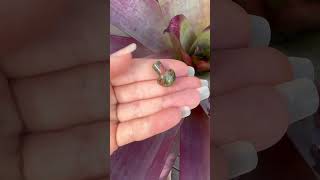 Unakite Mini mushroom for grounding🍄 So cute soul crystals spirituality [upl. by Lorry]