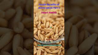 Health Benefits of Avena sativa 1 [upl. by Melmon]