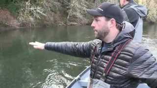 Olympic Peninsula Steelhead [upl. by Ahsiken]