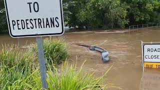 Flooding at Nambour [upl. by Caesar31]