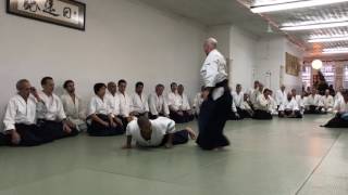 Claude Berthiaume Kata Shomenuchi Niyyko NY Aikikai Xmas Seminar 2016 [upl. by Fusuy]