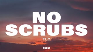 TLC  No Scrubs Lyrics [upl. by Oinigih]